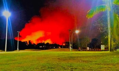 Brigadistas impedem fogo de atingir área de preservação do Parque Cesamar