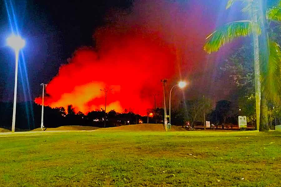 Brigadistas impedem fogo de atingir área de preservação do Parque Cesamar
