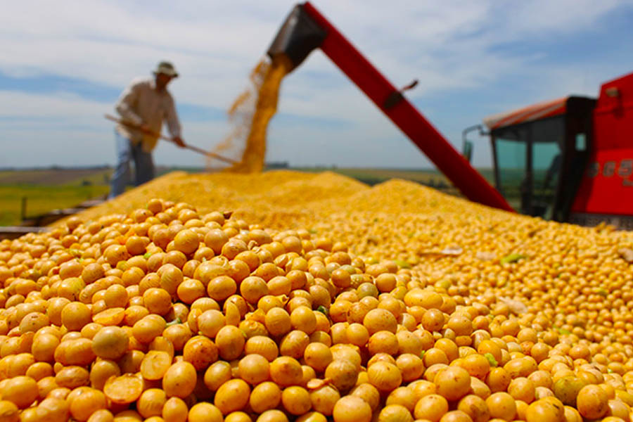 Contratação do crédito agrícola cresce 45% no primeiro bimestre