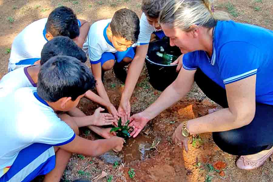 Em comemoração ao Dia da Árvore, escolas e Cmeis de Palmas promovem ações ecológicas 3