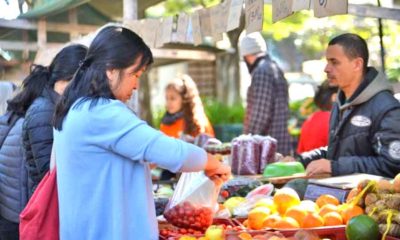 Empresários brasileiros apostam em alimentos e bebidas saudáveis