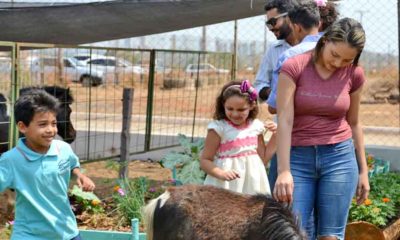 Modelo de propriedade rural sustentável é um dos locais mais visitados na ExpoPalmas 2018