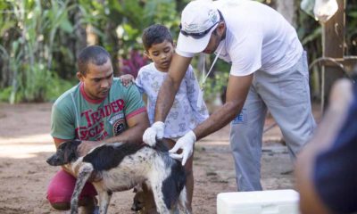 Município realiza vacinação antirrábica e exames para detecção de calazar, em Buritirana
