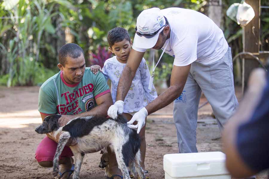 Município realiza vacinação antirrábica e exames para detecção de calazar, em Buritirana